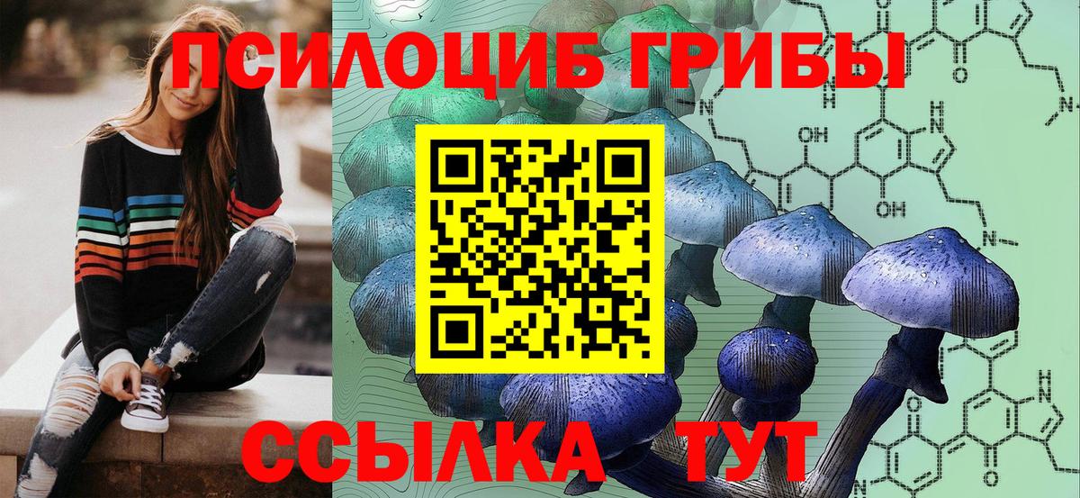 где продают наркотики  Вход с VPN  Братск  Галлюциногенные грибы ЛСД 