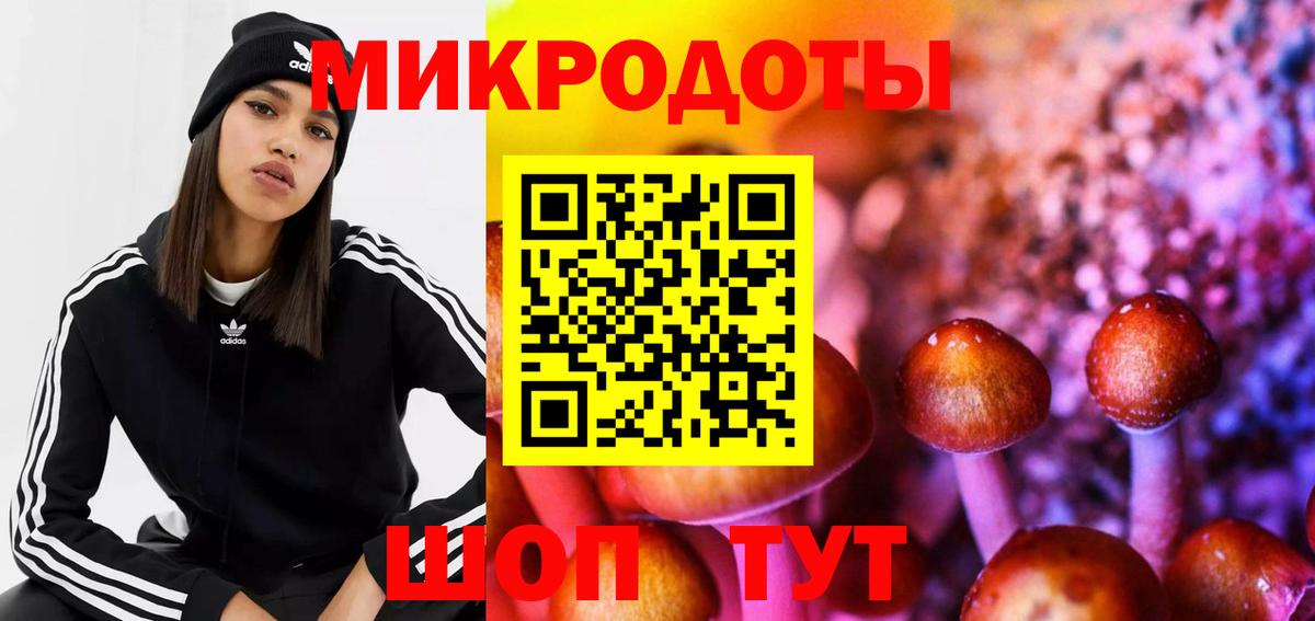 Галлюциногенные грибы Psilocybe Братск